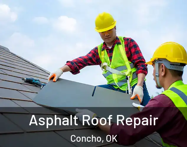  Asphalt Roof Repair Concho, OK