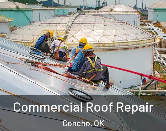  Commercial Roof Repair Concho, OK