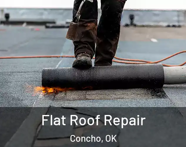  Flat Roof Repair Concho, OK