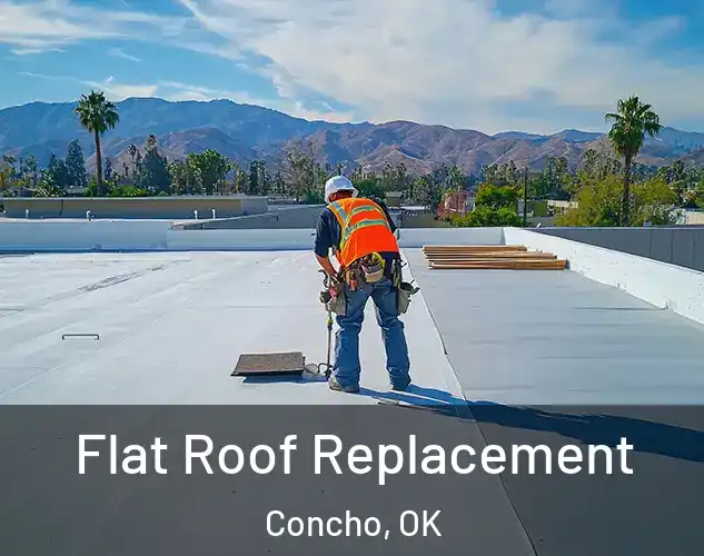  Flat Roof Replacement Concho, OK