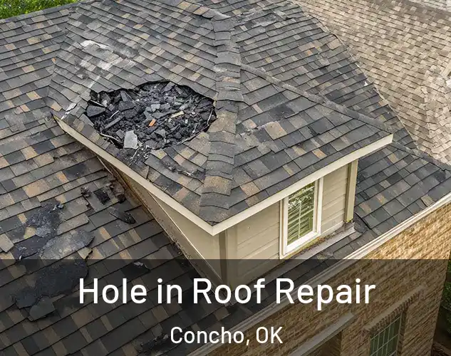  Hole in Roof Repair Concho, OK