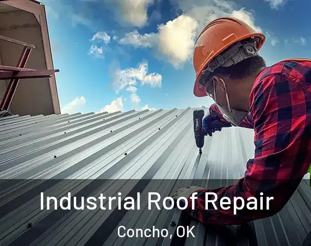  Industrial Roof Repair Concho, OK