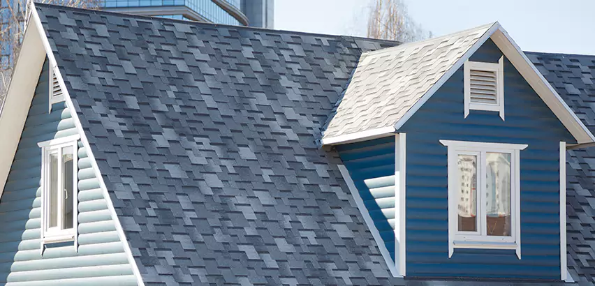 Shingle Roof Maintenance in Concho