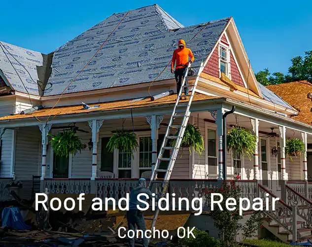  Roof and Siding Repair Concho, OK