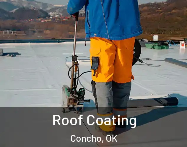  Roof Coating Concho, OK
