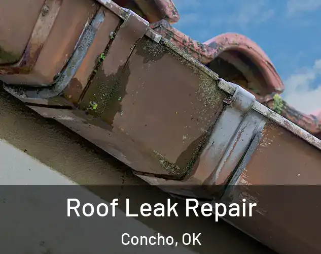  Roof Leak Repair Concho, OK