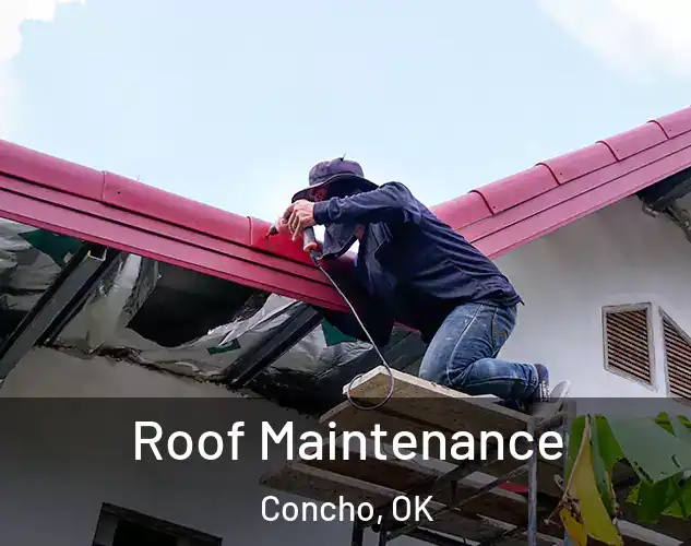  Roof Maintenance Concho, OK