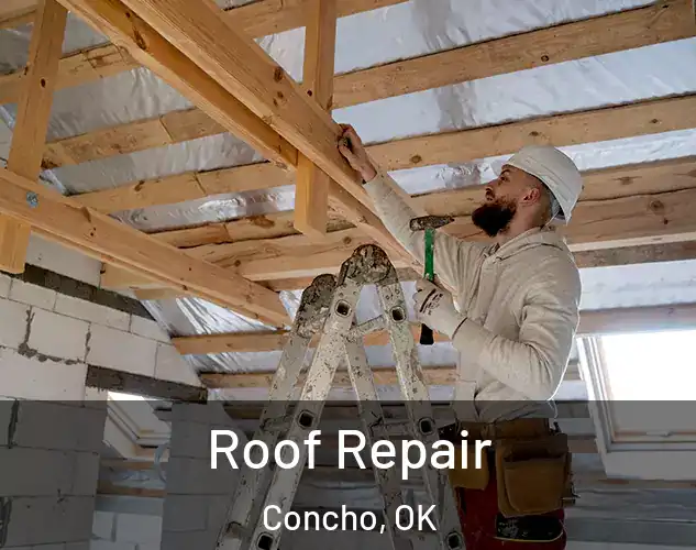  Roof Repair Concho, OK