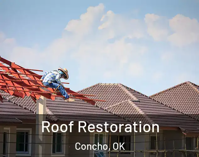  Roof Restoration Concho, OK