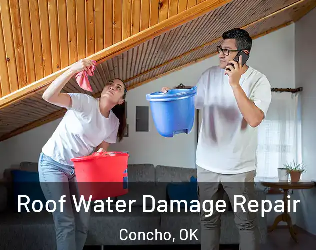  Roof Water Damage Repair Concho, OK