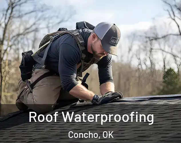  Roof Waterproofing Concho, OK