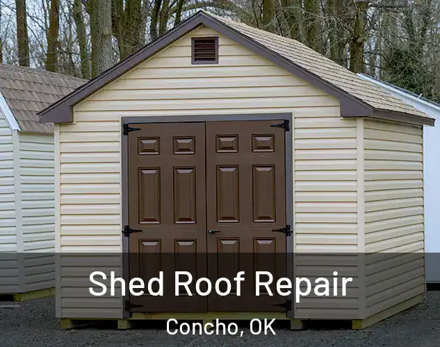  Shed Roof Repair Concho, OK