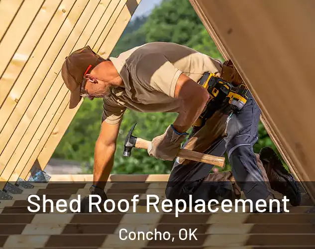  Shed Roof Replacement Concho, OK