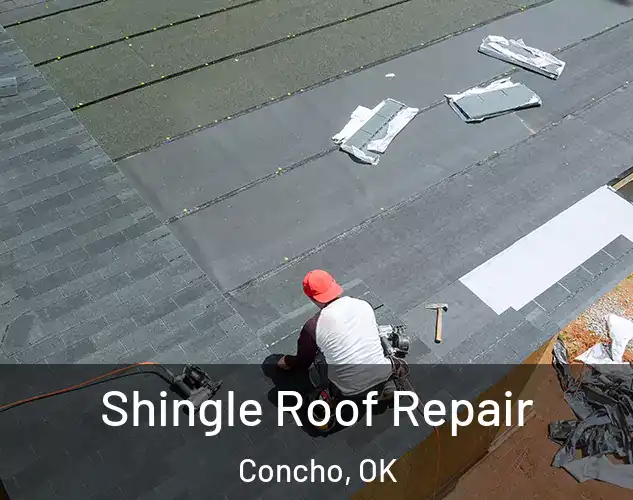  Shingle Roof Repair Concho, OK