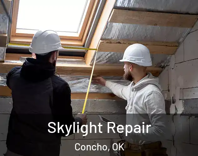  Skylight Repair Concho, OK
