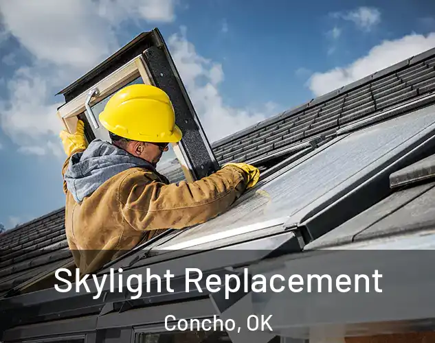  Skylight Replacement Concho, OK