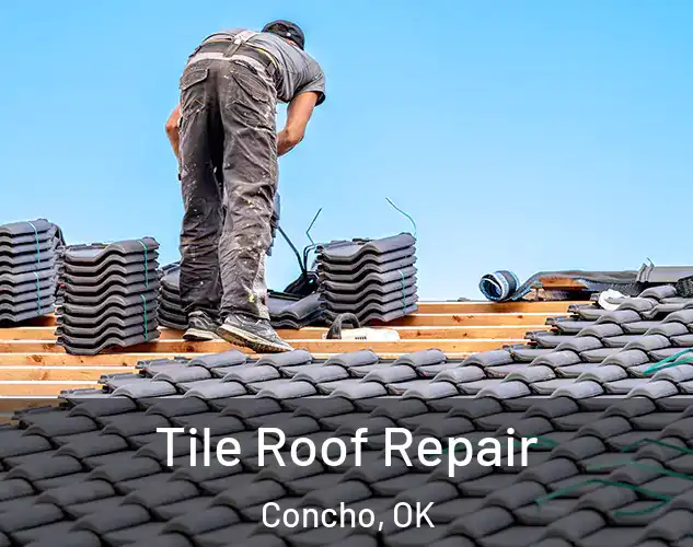  Tile Roof Repair Concho, OK