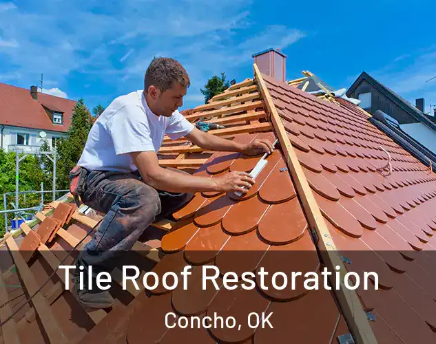 Tile Roof Restoration Concho, OK