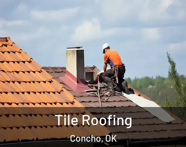  Tile Roofing Concho, OK